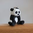 IMG_5602.JPG PANDA