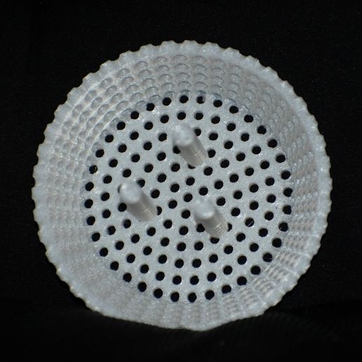 Kitchen Sink Drain Cover - 3D model önizlemesi