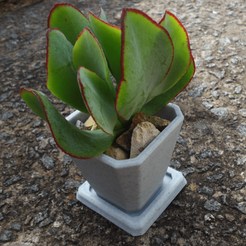 with-plant.png Succulent Planter