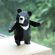 Capture_d__cran_2015-07-11___19.25.13.png Formosan Black Bear