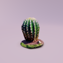 cactus.png cactus
