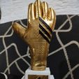IMG_20230325_170913054.jpg golden glove dibu martinez golden glove