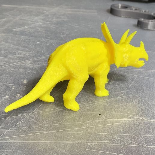 pic8.JPG Triceratops