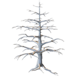 Winter-Leafless-Tree.png Arbre d'hiver sans feuilles