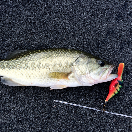 Capture_d_e_cran_2016-09-30_a__17.59.59.png Crankbait Fishing Lure