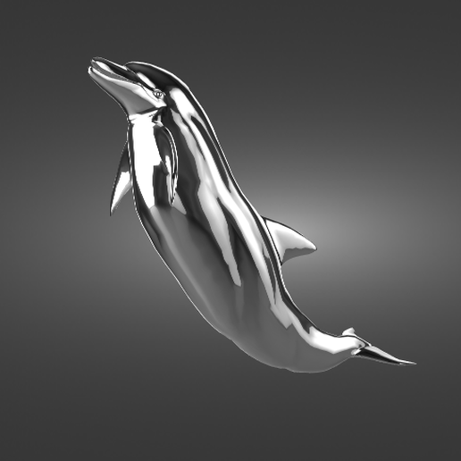 Dolphin 3D model