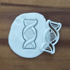 IMG_20230421_175654.jpg STL file DNA cookie cutter・Model to download and 3D print
