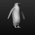 a2.jpg Penguin