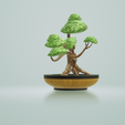 bonsai2.png Bonsai (GLB Format)