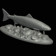 salmo-salar-1-19.png Atlantic salmon / salmo salar / losos obecný fish underwater statue detailed texture for 3d printing