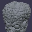 IMG_0716.jpeg Cosmic Legions Custom Undead Martian Head Sculpt
