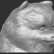 6.jpg Puppy of Pomeranian dog head for 3D printing