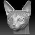 1.jpg Sphynx cat head for 3D printing