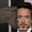 SIX_AAA6F6C3-E64A-4C23-9725-A3A224476F83.jpeg Robert Downey Jr. Tony Stark Ironman Endgame Custom Head