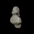 18.jpg Modelo de impresión 3D del busto del general Ambrose Powell Hill