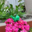 Birdgarden (4).jpeg Little Bird