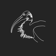 Screenshot-2026-04-11-at-4.08.38 PM.png Australian White Ibis 2 lineart 3d printed