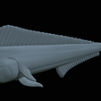 Base-mahi-mahi-35.png fish mahi mahi / common dolphin fish statue detailed texture for 3d printing
