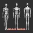 3.jpg BJD Doll male, bjd 3d model, bjd for 3d printing, print 3d bjd, bjd 3d print