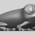 TDA0750_FrogA07.png Frog