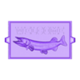 Muskie welcome.obj relief 1 FISH PIKE MUSKELLUNGE MUSKIE / ESOX MASQUINONGY 1