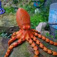 IMG-20220108-WA0001.jpg Realistic Flexible Octopus