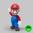 fab365_super-mario_01.jpg 3D file Super Mario Foldable and articulated・3D printing idea to download