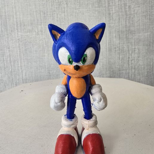 20251112_110205.jpg Sonic