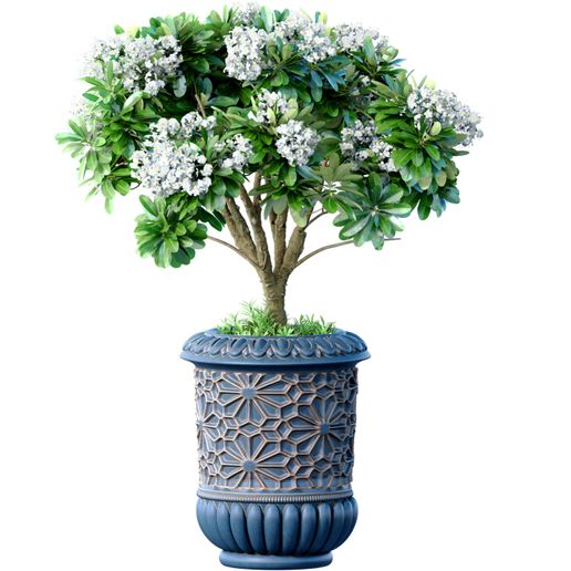 Decorative flowering tree in a luxury vase, pot,urn,vase for decoration in Oriental,Arabic,Islamic style for Porch ,Terrace,balcony,Entrance group,backyard 3D model