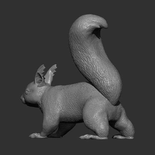 squirrel11.jpg Squirrel 3D print model