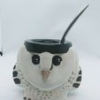 Screenshot_3.jpg matte owl