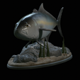 Greater-Amberjack-statue-1-3.png fish greater amberjack / Seriola dumerili statue underwater detailed texture for 3d printing