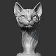 02.png Sphynx Cat Head AM08 3D print model