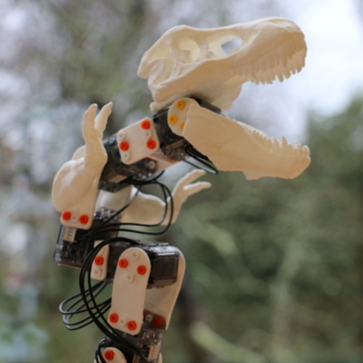 The Ergosaurus Rex (Poppy Ergo Jr with T-Rex 3D printed parts)