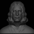 Blender_-C__Users_Tirtho_Music_blender_snape.blend-12_25_2023-2_06_31-PM.png Master of Potions: Professor Snape 3D Printable Bust