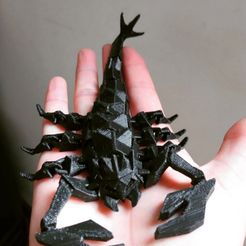 Captura-de-pantalla-2023-02-09-115154.jpg Free STL file Low Poly Scorpion FLEXI・3D printer model to download
