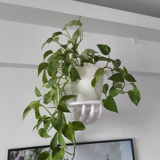 1000011752.jpg prateleira de mão