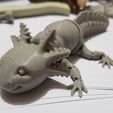 Bezaubernder Axolotl mit Gelenk, bedruckter Körper, einrastbarer Kopf, niedlicher Flexi