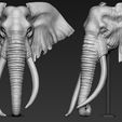 03.jpg Elephant African Head