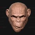 13.jpg King Monkey Mask - Kingdom of The Planet of The Apes
