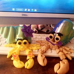 Flexi-Eremitenfamilie🦀🐚🥰