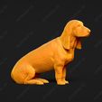 839-Basset_Bleu_de_Gascogne_Pose_06.jpg Basset Bleu de Gascogne Dog 3D Print Model Pose 06