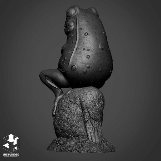 06.jpg Rana Pensativa