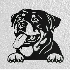 Sin-título.jpg rottweiler dog wall deco dog deco wall mural mascot