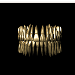 2020-05-22.png Archivo 3D LIBRERIA DENTAL CON RAICES ADAPTADAS PARA MESHMIXER・Objeto imprimible en 3D para descargar