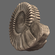 05.png Giant ammonites