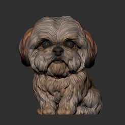 Shitzu-macho.jpg STL file Shitzu Dog funko Planter・3D printing design to download