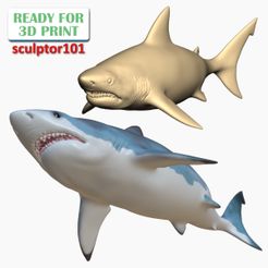 White-Shark-1200x1200.jpg Grate White Shark 3D sculpting Printable Model