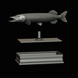 northern-pike-statue-box-1-2-1-20.png fish NORTHERN PIKE (ESOX LUCIUS) open mouth with storage space / for 3d printing