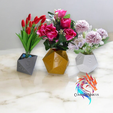 2.png Dado Polyhedron Planters - set of 3
